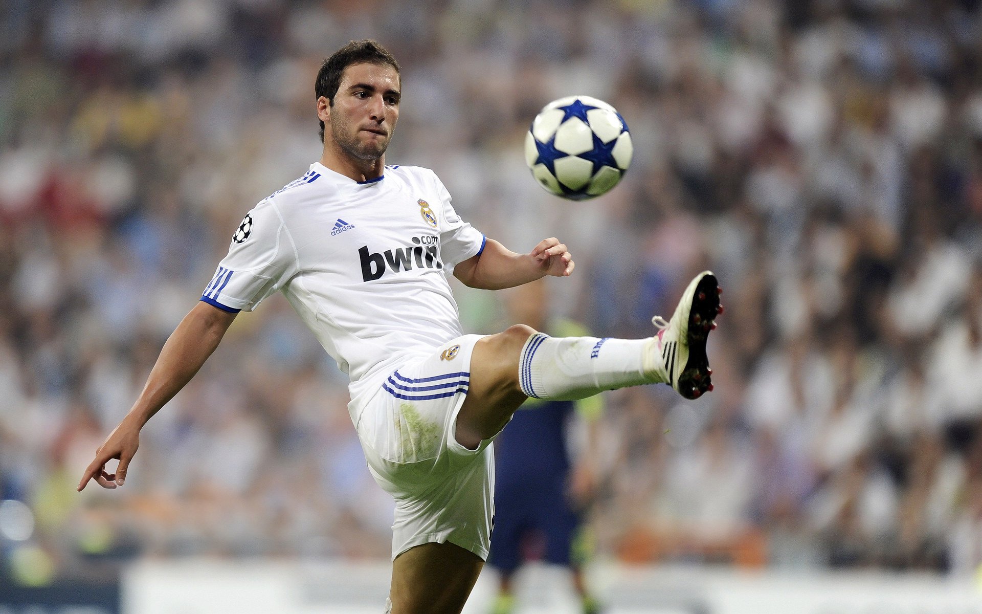 世界杯：西班牙迅速换帅 小将佩德里被视为未来新核心