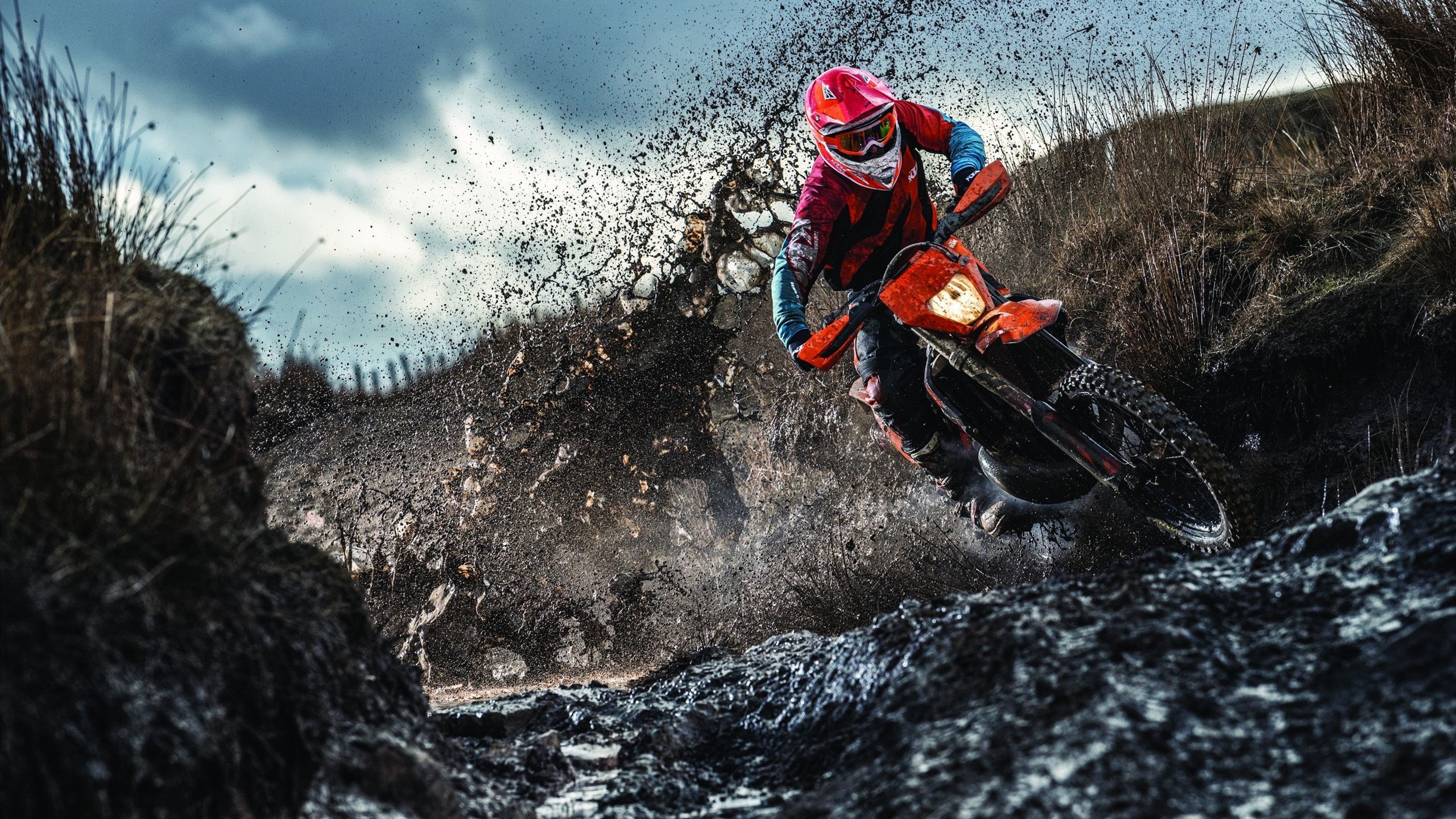 体育赛事年度收视率排行